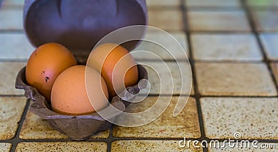 Small case of three chicken eggs, Healthy source of protein, popular food products Stock Photo