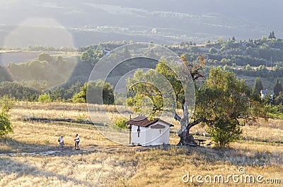 A small chapel under a century-old tree at the end of summer Stock Photo