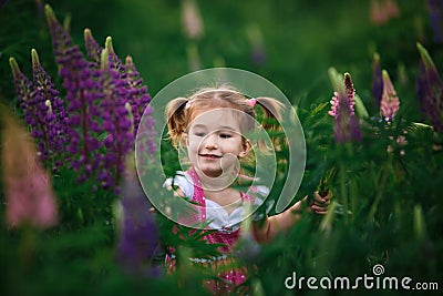 A small cheerful girl with two light tails on her head in a green field with purple flowers. Stock Photo