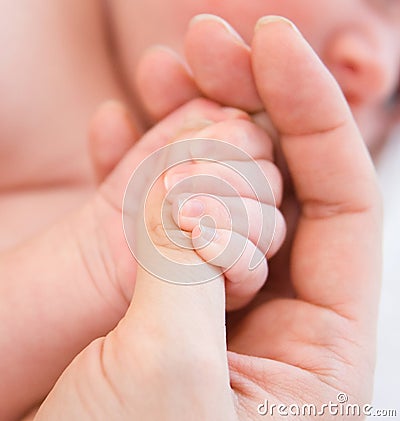 Small child is held by the hand Stock Photo