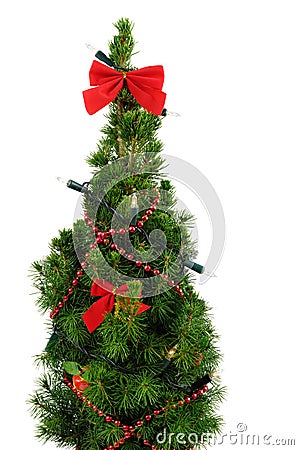 Small Christmas Tree Stock Photo