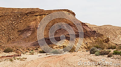 Small Cliff on Wadi Ardon in the Makhtesh Ramon in Israel Stock Photo