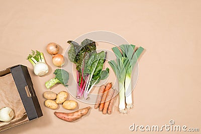 Small Collection of Fresh Vegetables with Copy Space Stock Photo