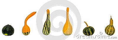 Small colored pumpkins, close up, isolated, white background Stock Photo