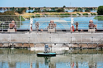 Small concrete dam separates the wastewater treatment facility oxydation ponds Stock Photo