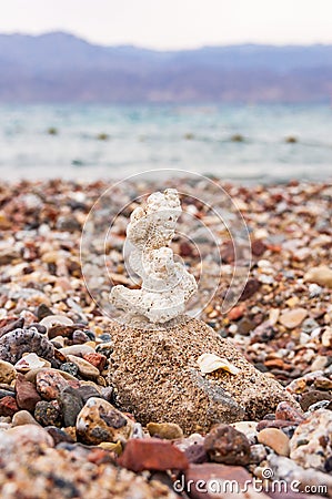 Small coral surrounded by many small pebbles on the Red Sea beach in Eilat Stock Photo