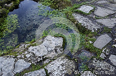 Small corner with streamlet from sacred spring source in Demir Baba Teke, cult monument honored by both Christians and Muslims Stock Photo