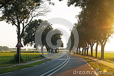 Small countrycide roat going throuht the trees i Stock Photo