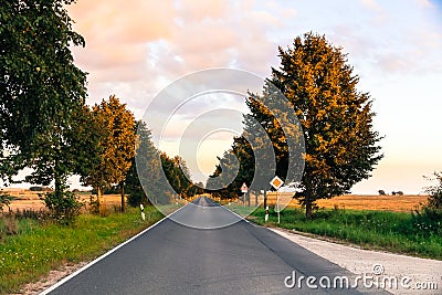 Small countryside road with trees on both sides photographed during sunset Stock Photo