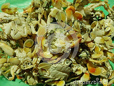 Small crab meat boiled on black square plate Stock Photo