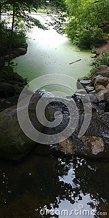 Small creak leading to pond at Crotona park nyc Stock Photo