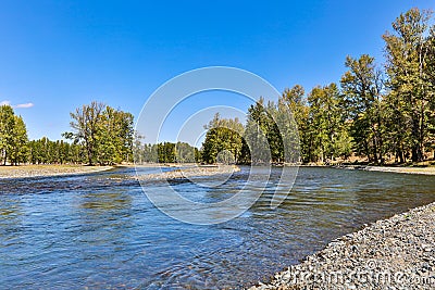 A small creek with crystal clear water in central Mongolia Stock Photo