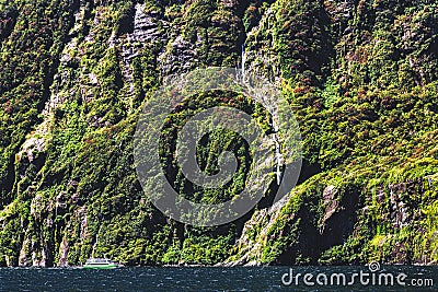 Small cruise ferry and high waterfall in Milford Sound, New Zealand Editorial Stock Photo