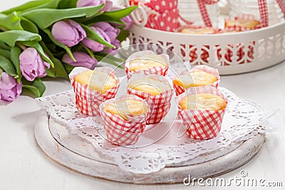 Small curd cheese muffins or cupcakes Stock Photo