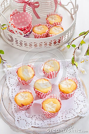 Small curd cheese muffins or cupcakes Stock Photo