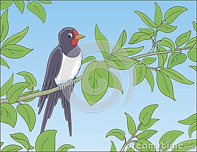 Swallow perched on a green branch Vector Illustration