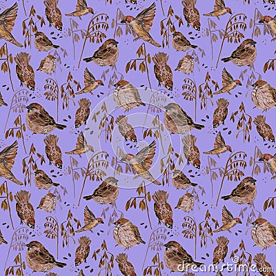 Small cute Woodpeckers birds with seeds and wheat on purple background. Raster seamless pattern Stock Photo