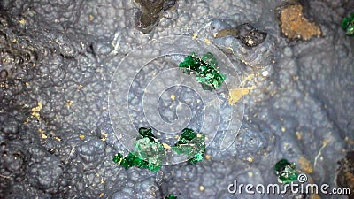 Small bright green malachite (copper carbonate) crystals on matrix Stock Photo