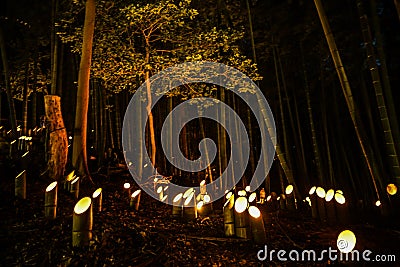 Small-diameter light-up of the bamboo grove small desk Castle forest of citizen Stock Photo