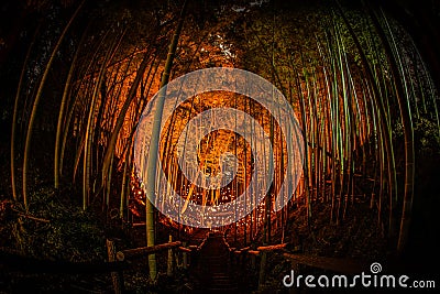 Small-diameter light-up of the bamboo grove small desk Castle forest of citizen Stock Photo