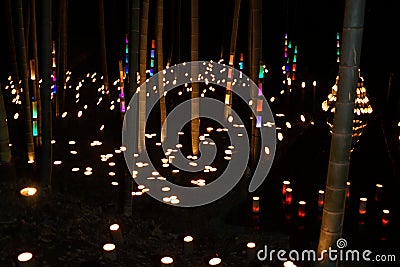 Small-diameter light-up of the bamboo grove small desk Castle forest of citizen Stock Photo