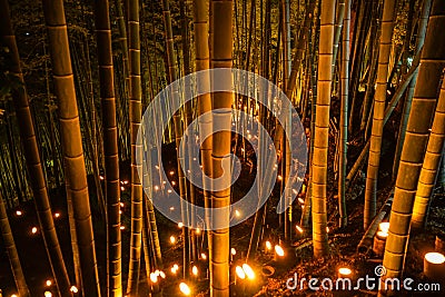 Small-diameter light-up of the bamboo grove small desk Castle forest of citizen Stock Photo