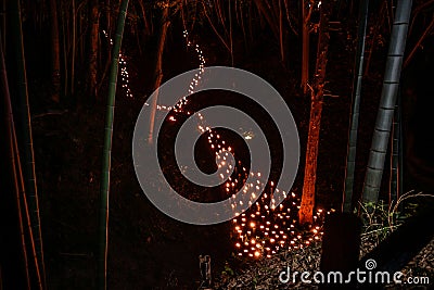 Small-diameter light-up of the bamboo grove small desk Castle forest of citizen Stock Photo