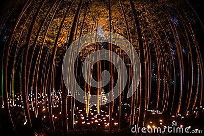 Small-diameter light-up of the bamboo grove small desk Castle forest of citizen Stock Photo