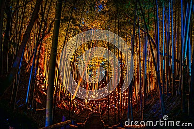 Small-diameter light-up of the bamboo grove small desk Castle forest of citizen Stock Photo