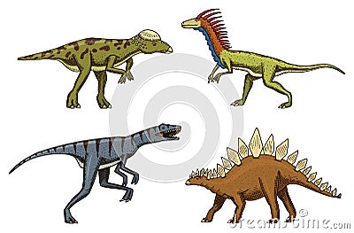 Small dinosaurs, deinonychus, stegosaurus, velociraptor, pachycephalosaurus, skeletons, fossils. Prehistoric reptiles Vector Illustration