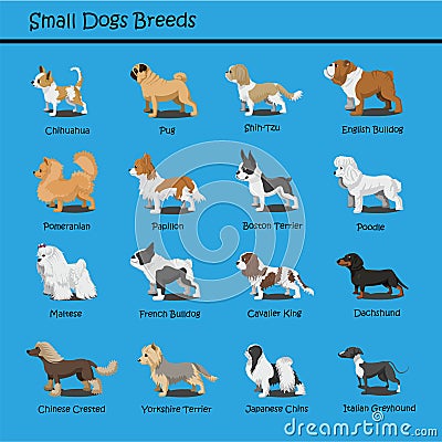 Small Dog Breeds Dog cute Cartoon Design Vector puppy dog Cartoons Design Vector Illustration