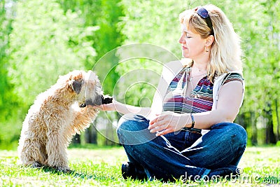 Small dog give forefoot Stock Photo