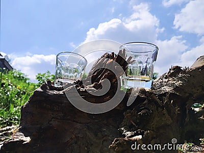 Small Empty Glasses Alcohol on the Wood in the Outdoor Forest Tree Stock Photo