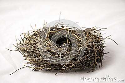 Small Empty Nest Stock Photo