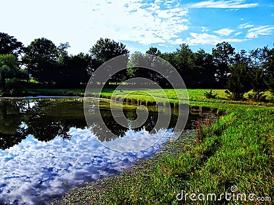 Small farm pond Stock Photo