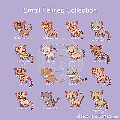 Small feline illustrations with name text Vector Illustration