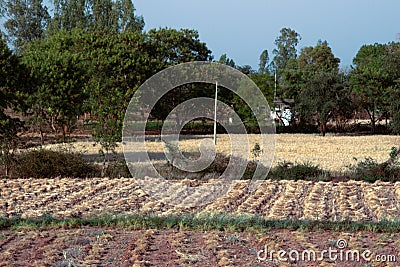 Small fields alternate with ponds, roads and boundary wood belt Stock Photo