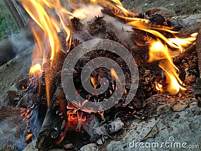 Small fire Stock Photo