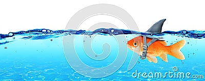 Small Fish With Ambitions Of A Big Shark Stock Photo