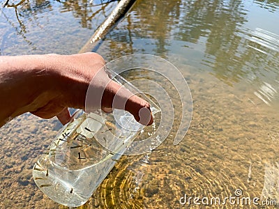 Small fish in a glass, science and nature Background Stock Photo