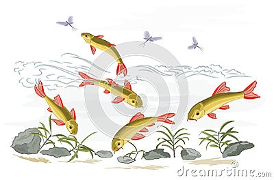 Small fish in the wild stream Vector Illustration