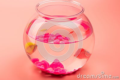 Small fishes swim in aquarium ball Stock Photo