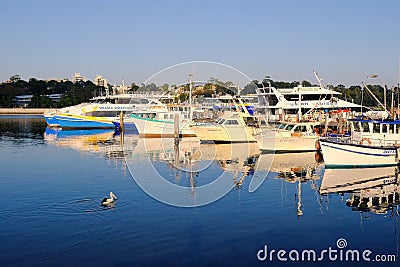 Small Fishing and Day Cruise Boats, Sydney Harbour, Australia Editorial Stock Photo