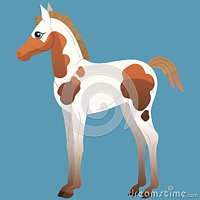 A small foal with spots is standing. Horses icons flat style. Vector isolated illustration Vector Illustration