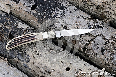 Small folding knife on fallen tree Stock Photo