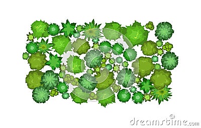Small forest with height. Park with trees. View from above. Plant landscape. Island. Green wildlife. Top view Vector Illustration