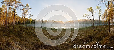 Small forest lake at sunrise Stock Photo