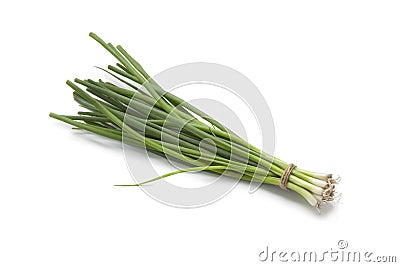 Small fresh spring onions Stock Photo