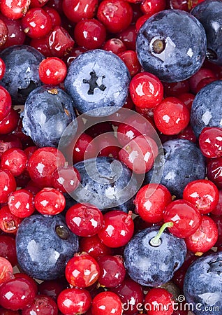 Small fruits Stock Photo