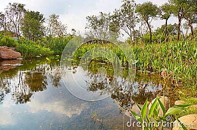 Small garden pond Stock Photo